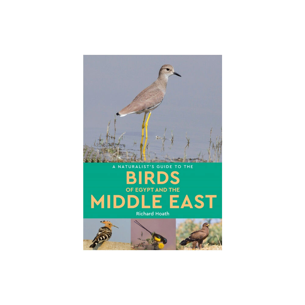 John Beaufoy Publishing Ltd A Naturalist's Guide to the Birds of Egypt and the Middle East (häftad, eng)