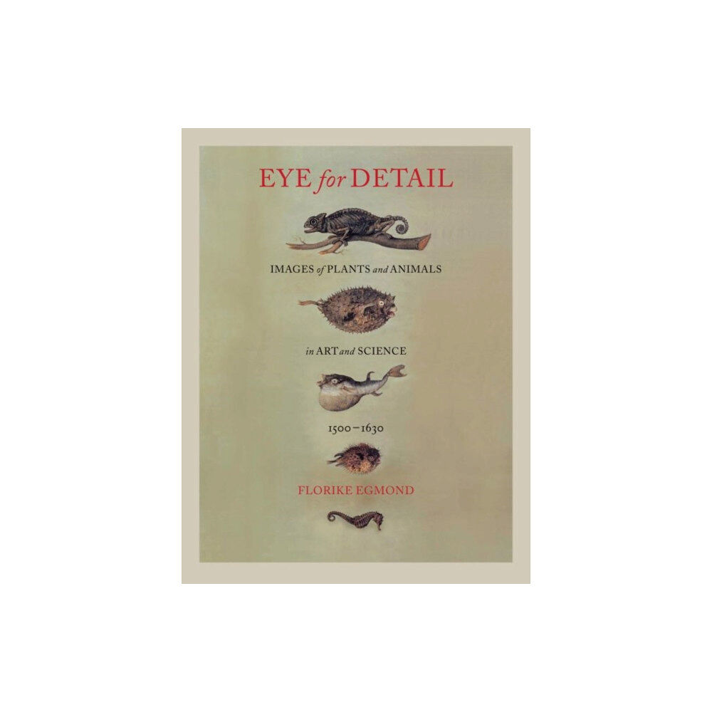 Reaktion Books Eye for Detail (inbunden, eng)