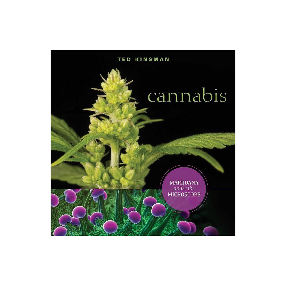 Ted Kinsman Cannabis - marijuana under the microscope (häftad, eng)
