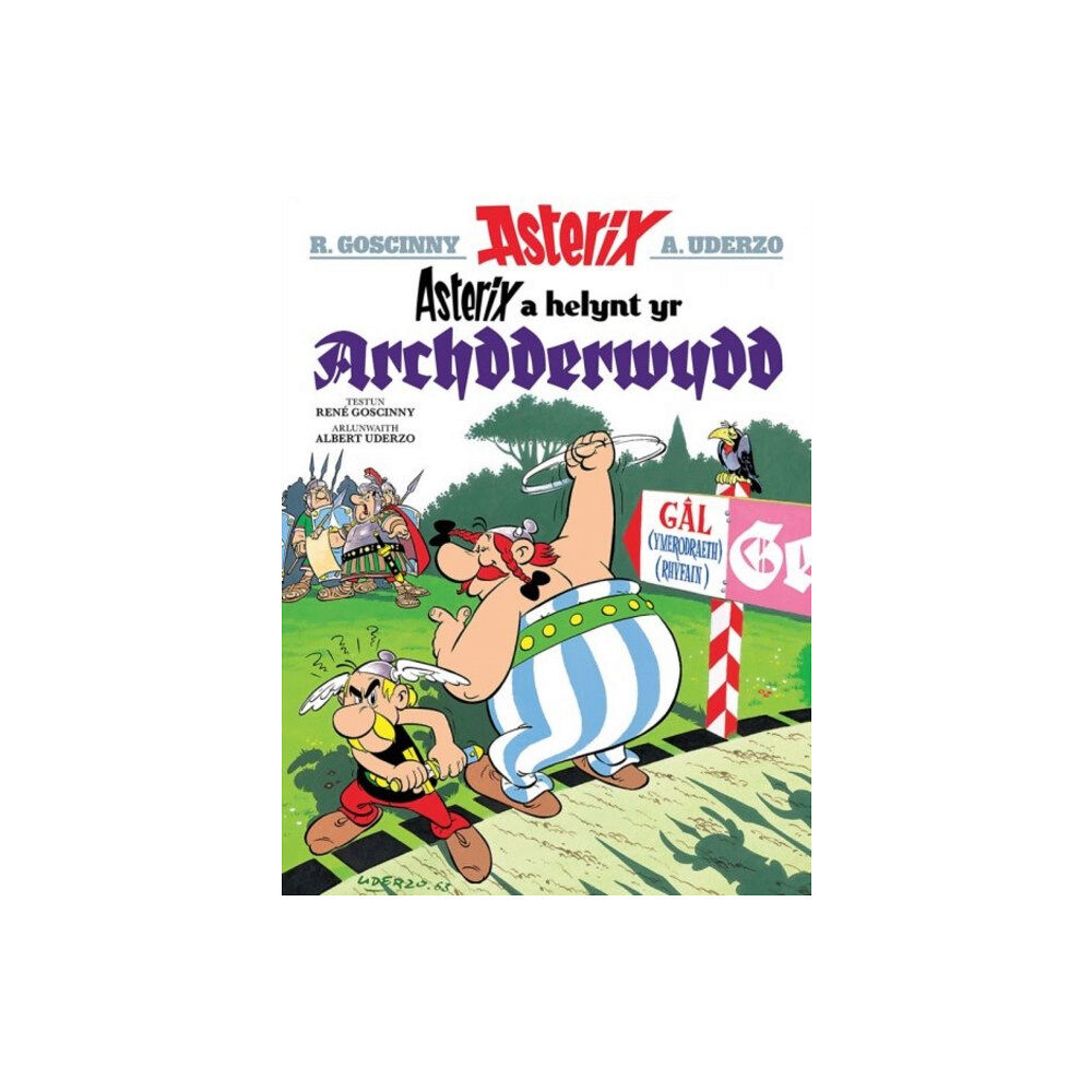 Dalen (Llyfrau) Cyf Asterix a Helynt yr Archdderwydd (häftad, wel)