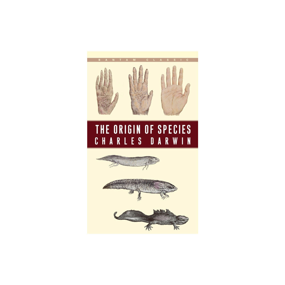 Random House USA Inc The Origin of Species (häftad, eng)