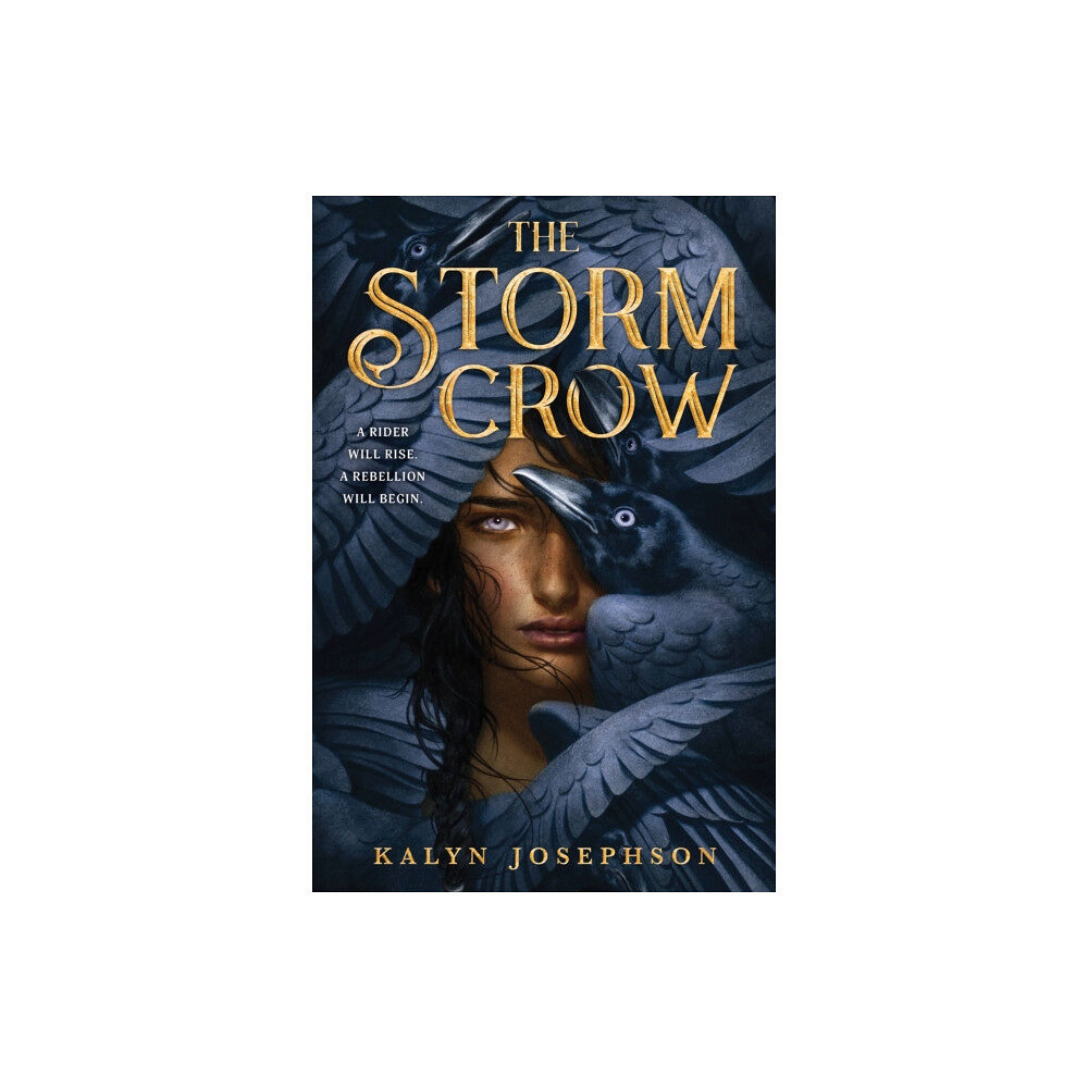 Sourcebooks, Inc The Storm Crow (häftad, eng)