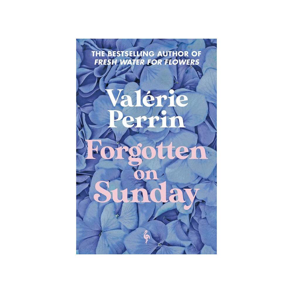 Valérie Perrin Forgotten on Sunday (pocket, eng)