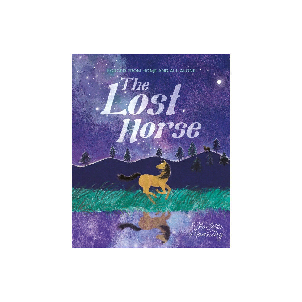 Hachette Children's Group The Lost Horse (häftad, eng)