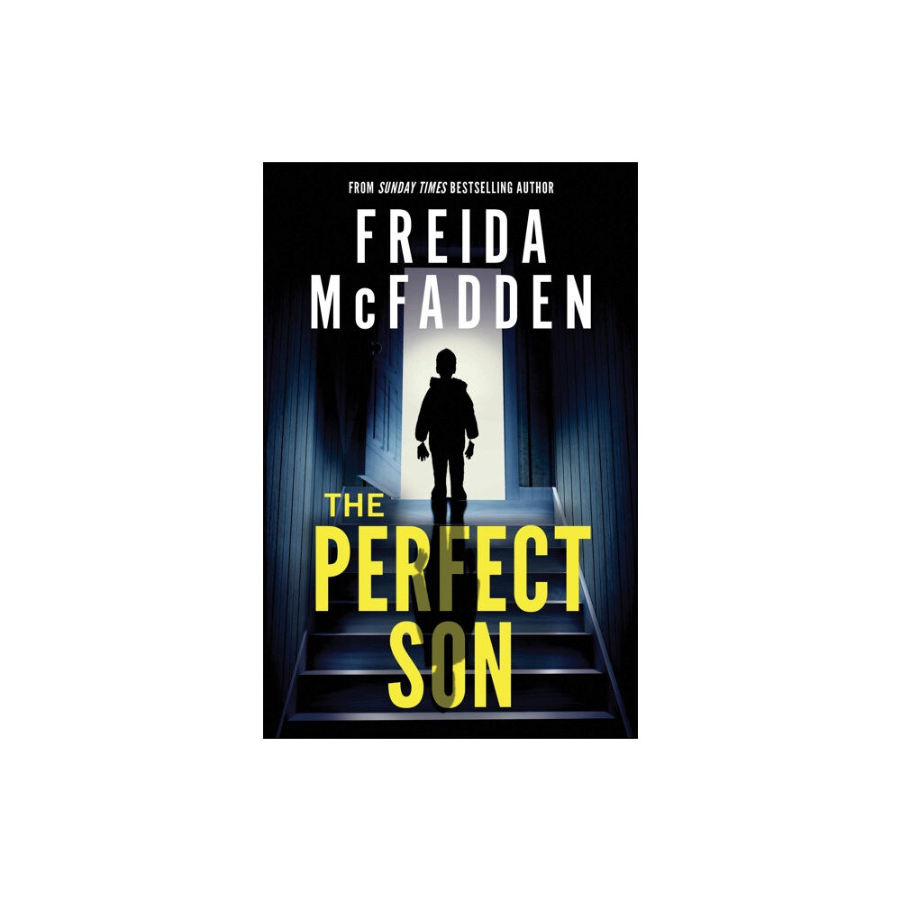 Sourcebooks, Inc The Perfect Son (häftad, eng)