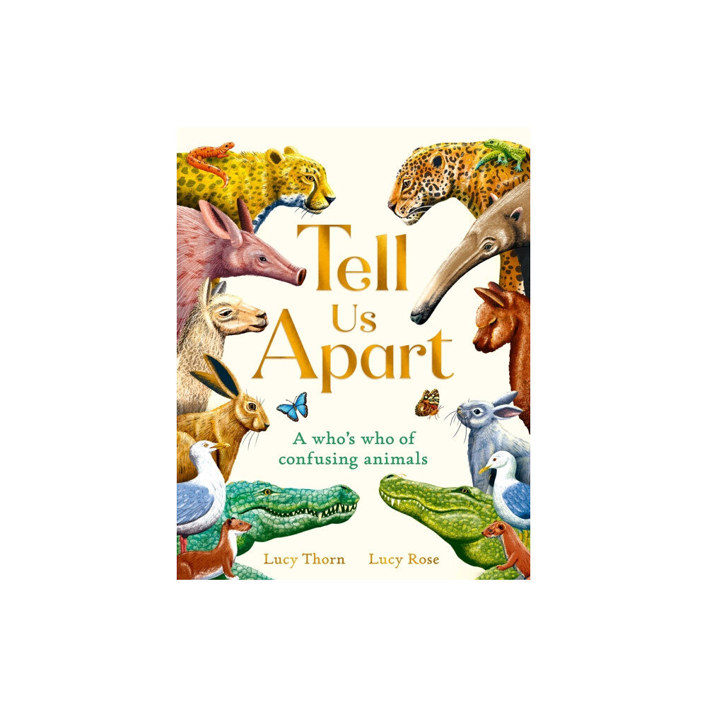 Hachette Children's Group Tell Us Apart (inbunden, eng)