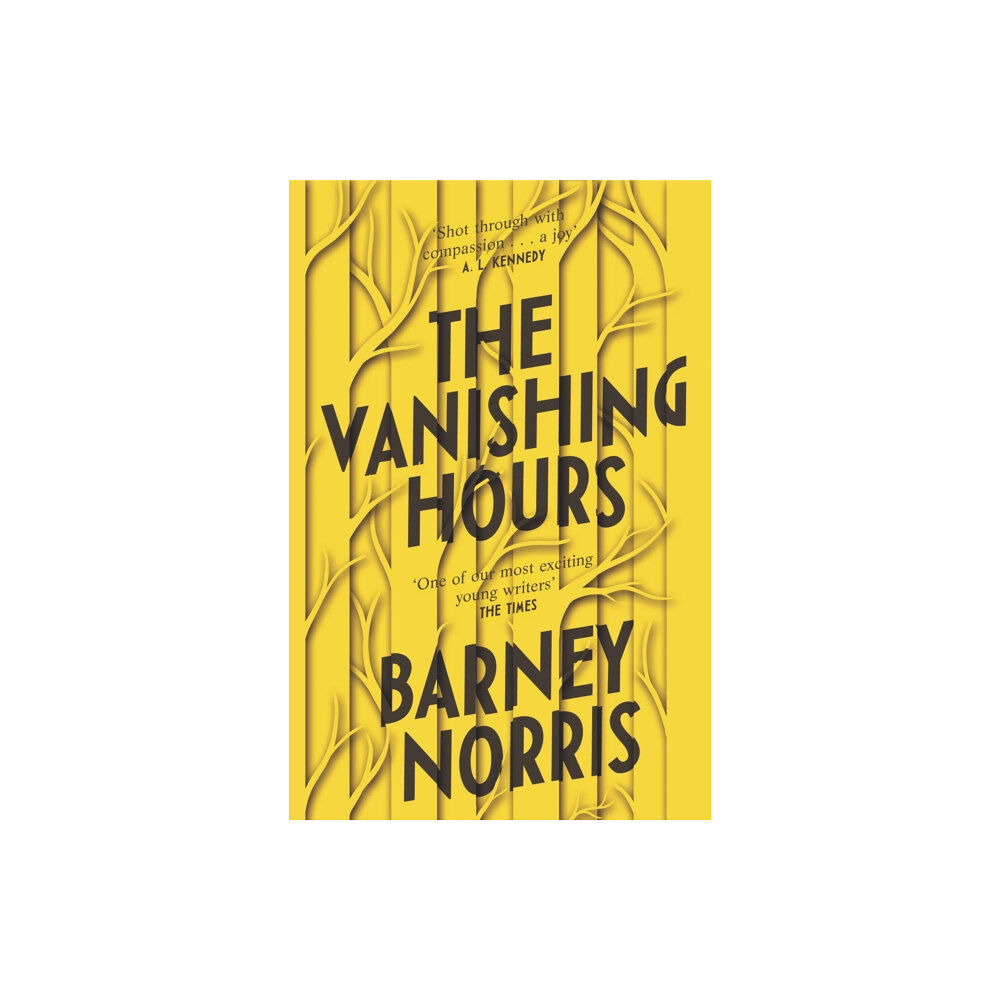 Transworld publishers ltd The Vanishing Hours (häftad, eng)