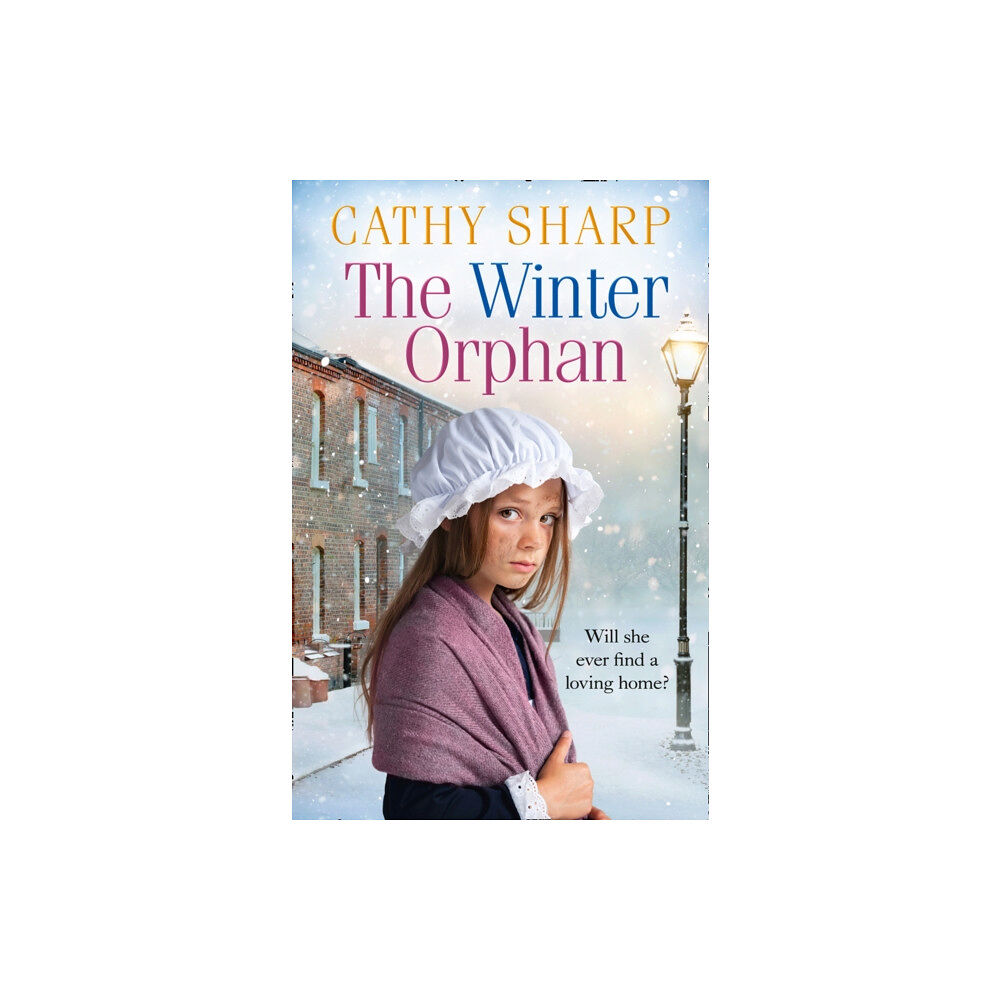 HarperCollins Publishers The Winter Orphan (häftad, eng)