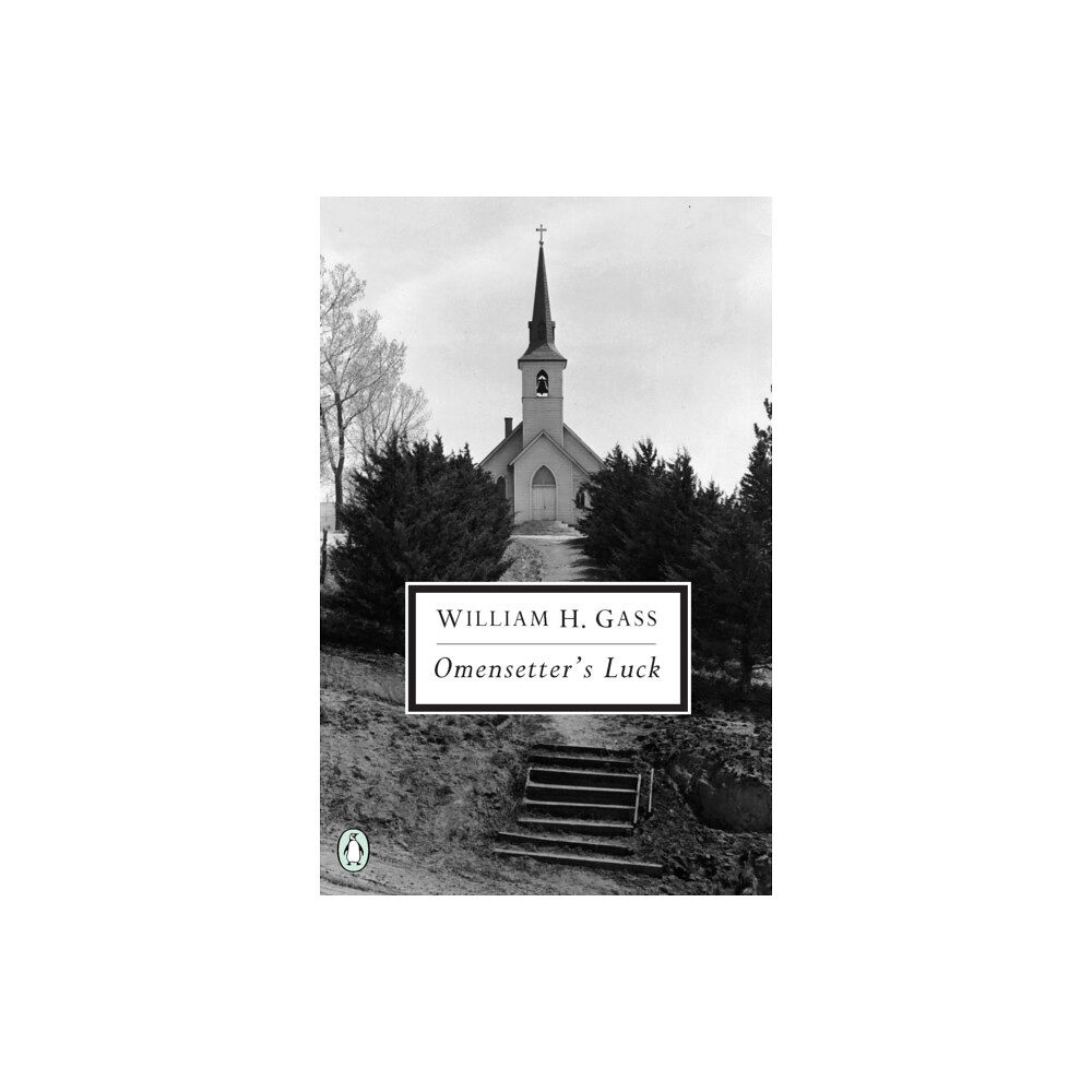 Penguin books ltd Omensetter's Luck (häftad, eng)