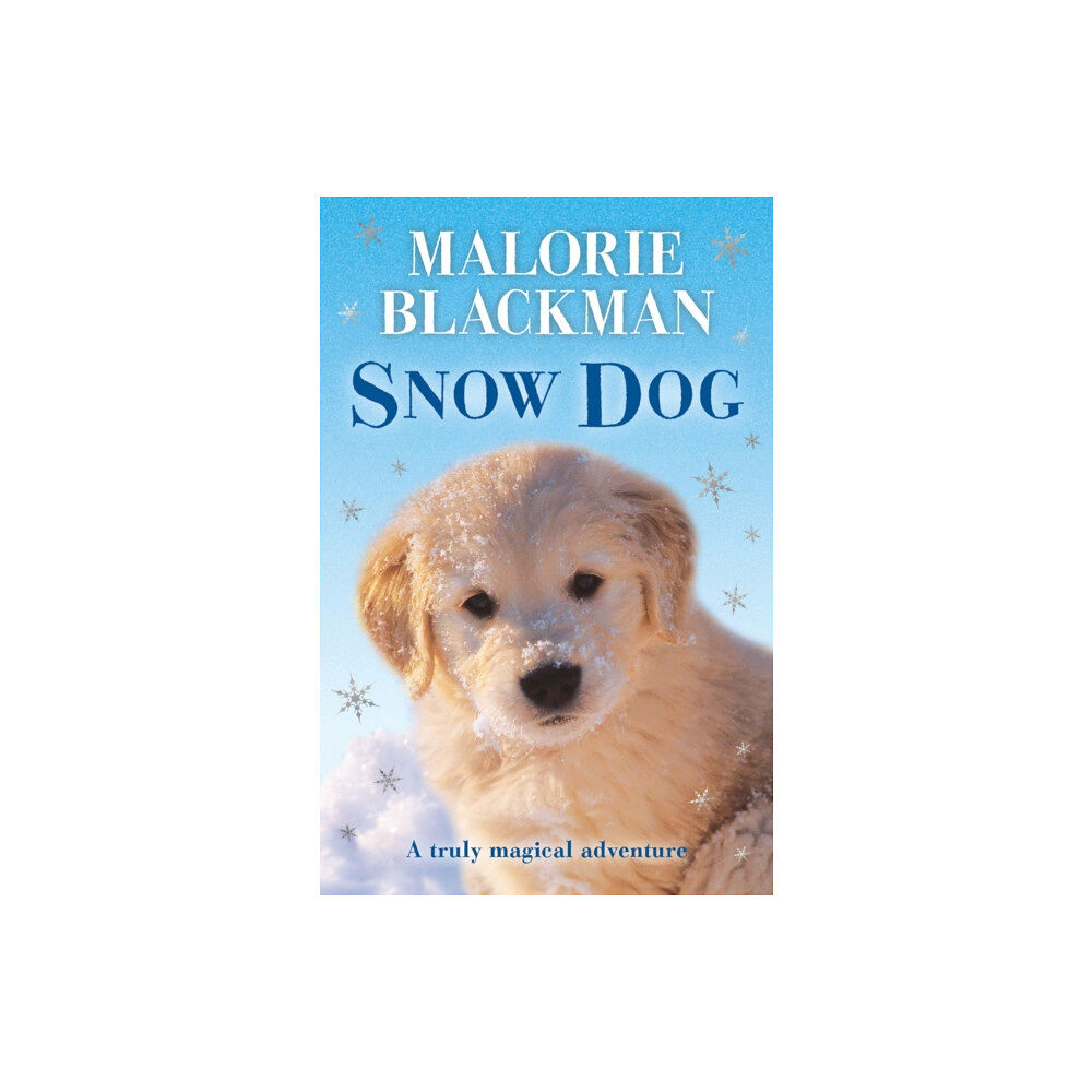 Penguin Random House Children's UK Snow Dog (häftad, eng)