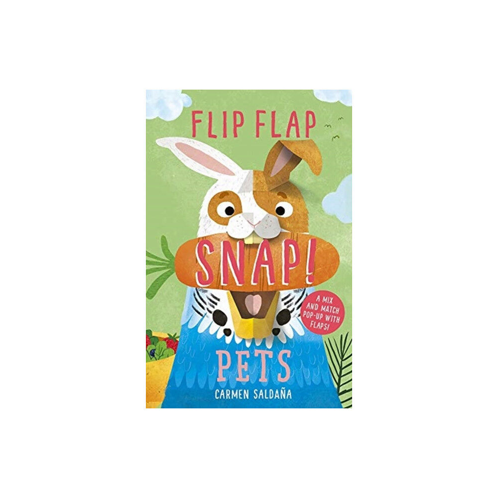 Templar Publishing Flip Flap Snap: Pets (inbunden, eng)