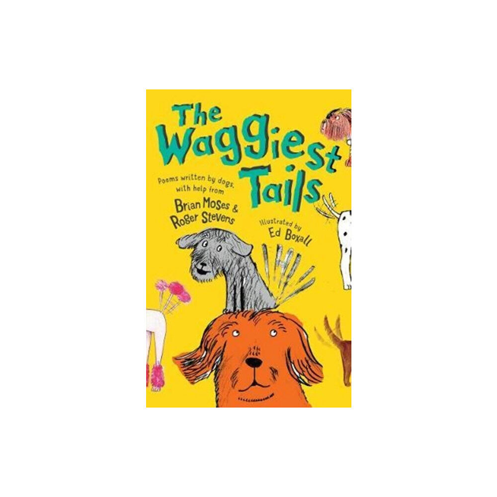 Otter-Barry Books Ltd The Waggiest Tails (häftad, eng)