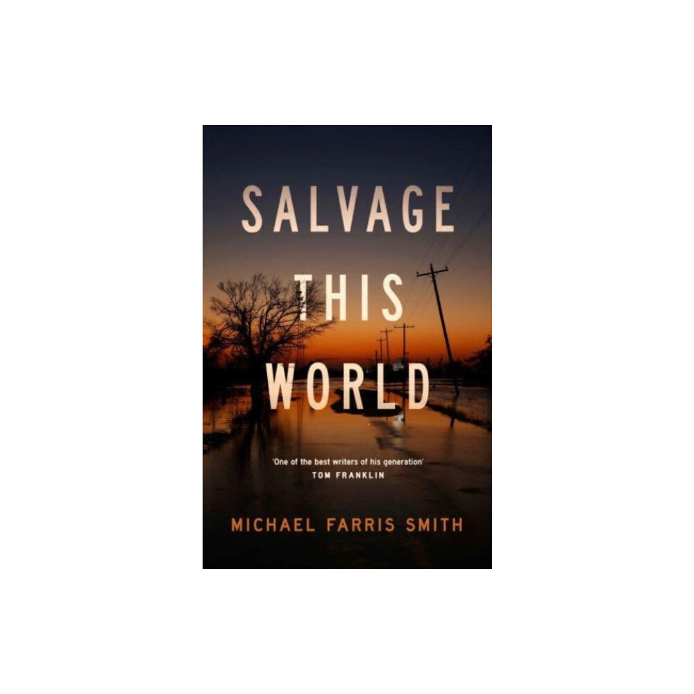 Bedford Square Publishers Salvage This World (häftad, eng)