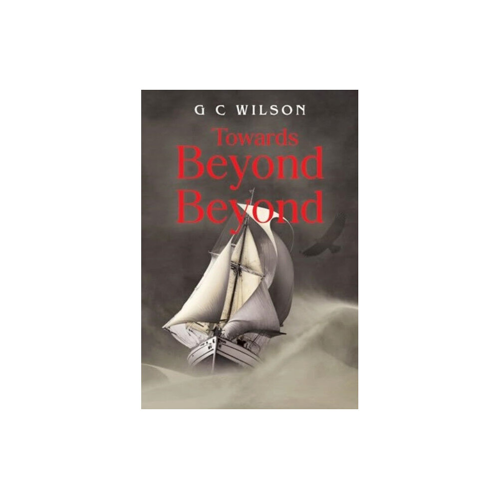 Olympia Publishers Towards Beyond Beyond (häftad, eng)