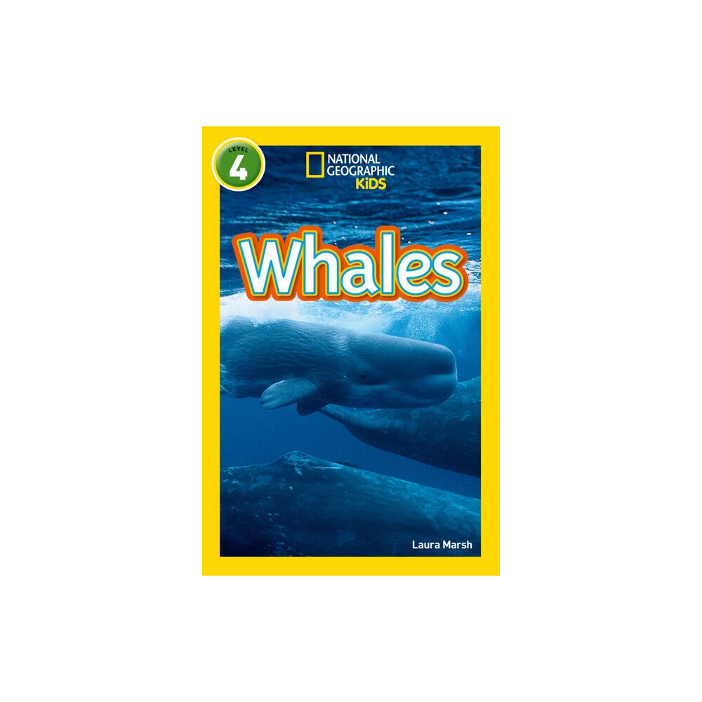 HarperCollins Publishers Whales (häftad, eng)