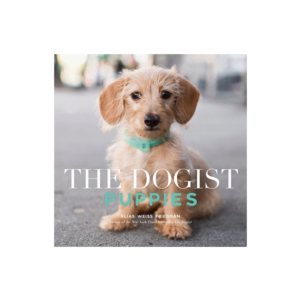 Workman Publishing The Dogist Puppies (häftad, eng)