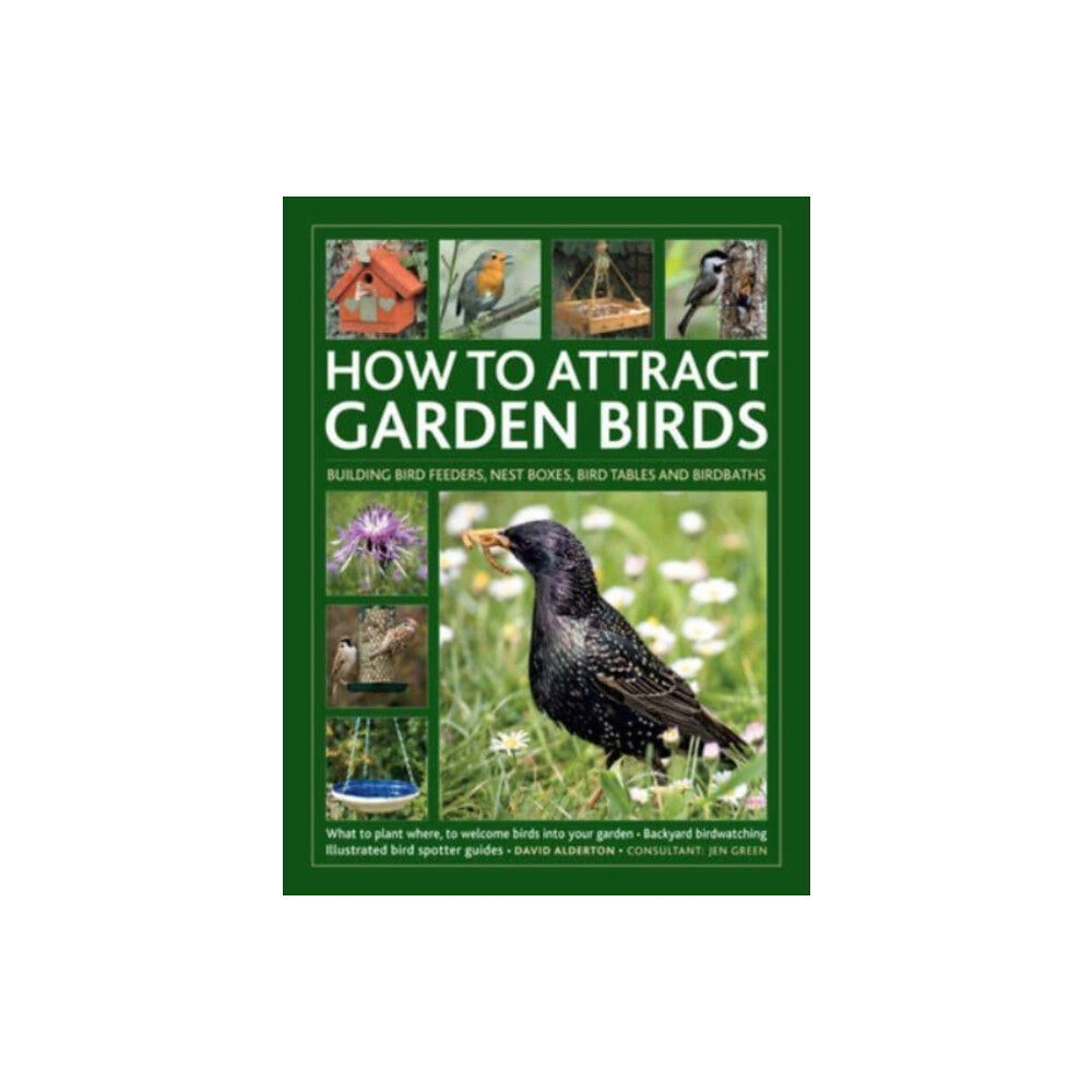 Anness publishing How to Attract Garden Birds (inbunden, eng)