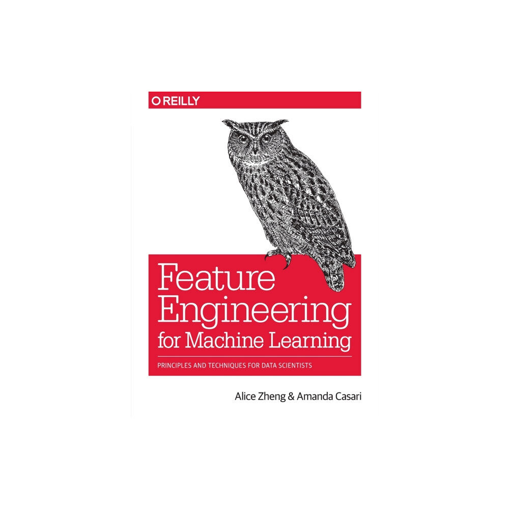 O'Reilly Media Feature Engineering for Machine Learning (häftad, eng)