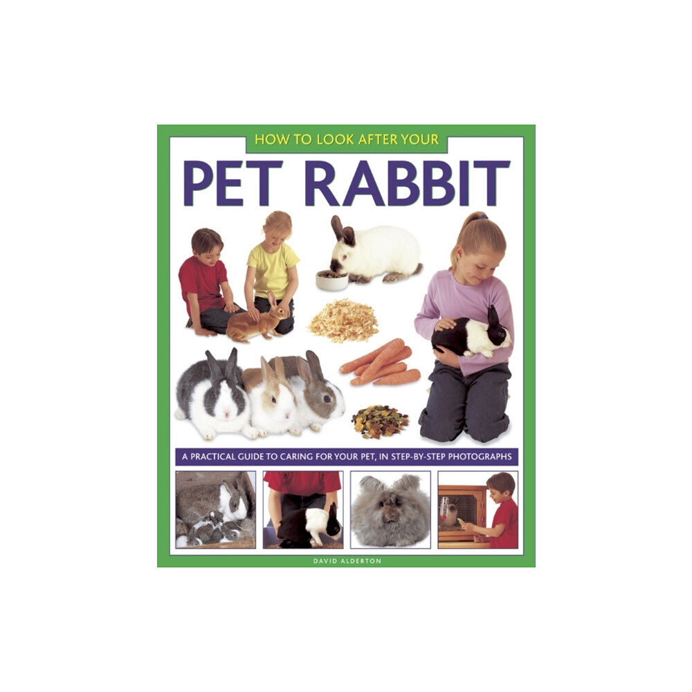 Anness publishing How to Look After Your Pet Rabbit (inbunden, eng)