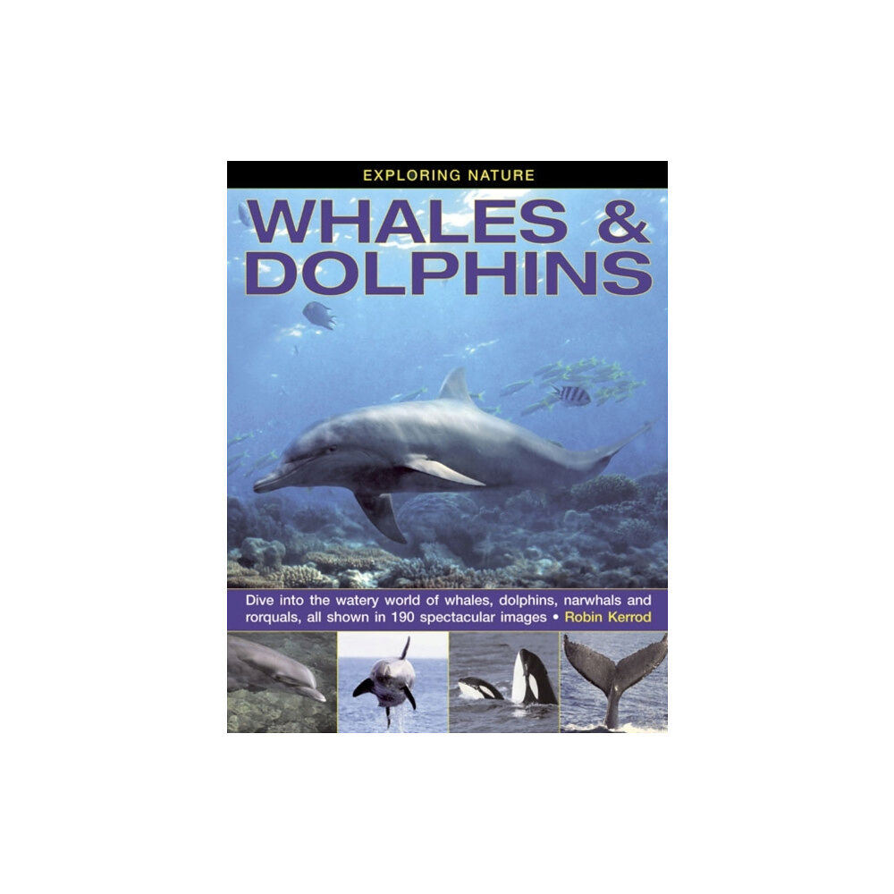 Anness publishing Exploring Nature: Whales & Dolphins (inbunden, eng)