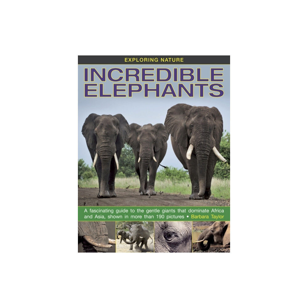 Anness publishing Exploring Nature: Incredible Elephants (inbunden, eng)