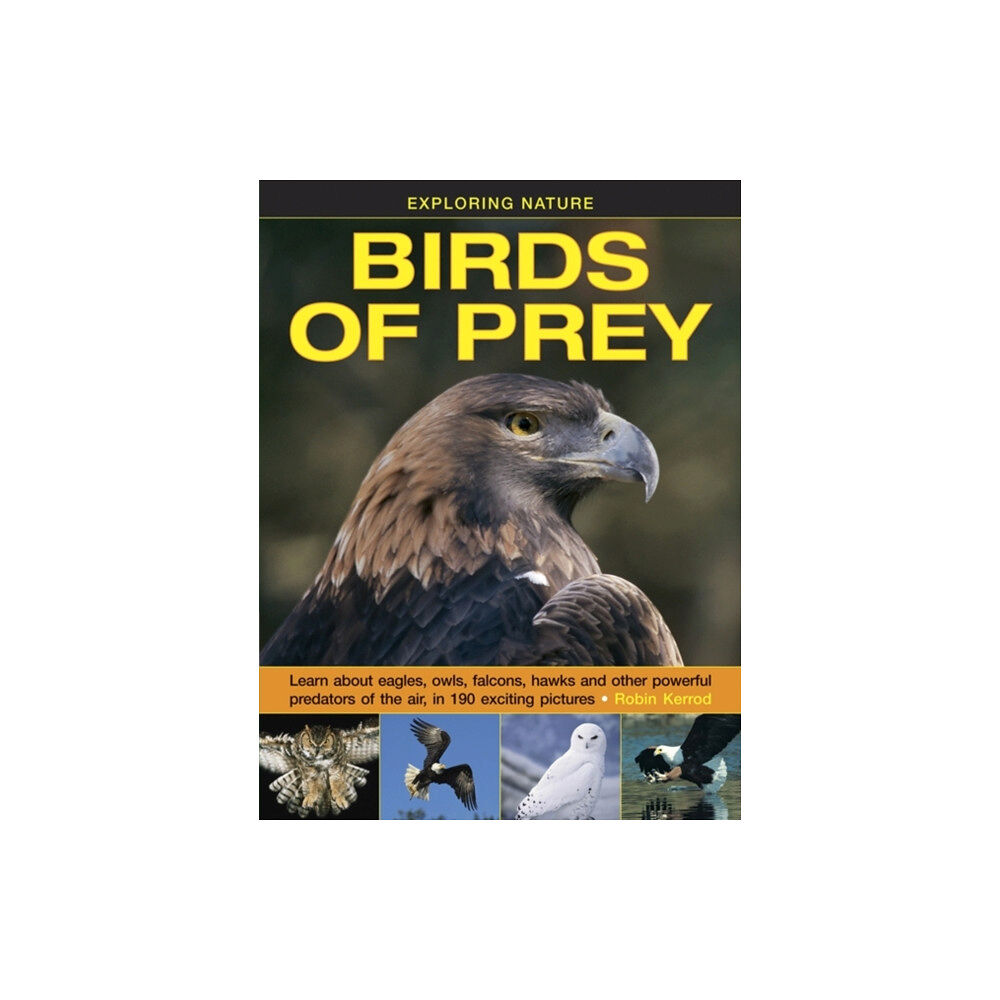 Anness publishing Exploring Nature: Birds of Prey (inbunden, eng)