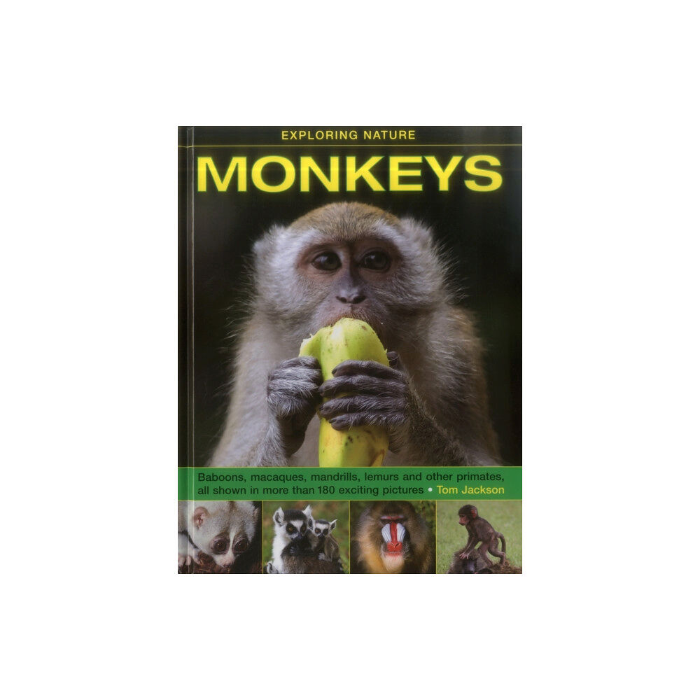 Anness publishing Exploring Nature: Monkeys (inbunden, eng)