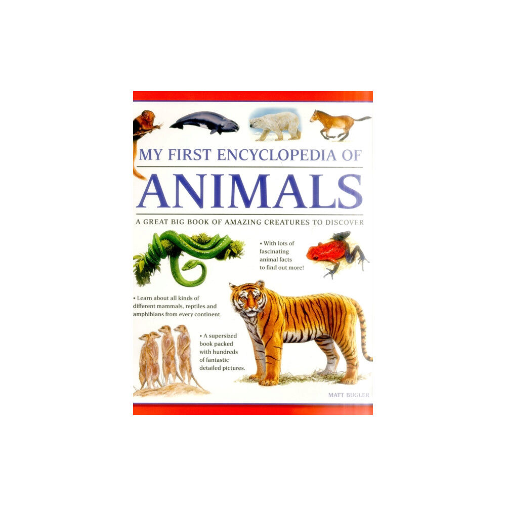 Anness publishing My First Encyclopedia of Animals (giant Size) (häftad, eng)