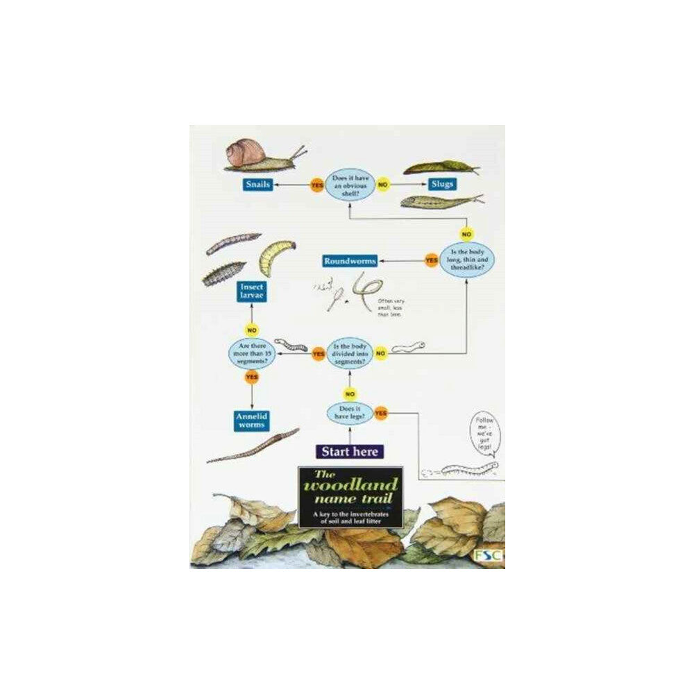 Field Studies Council The woodland name trail (häftad, eng)