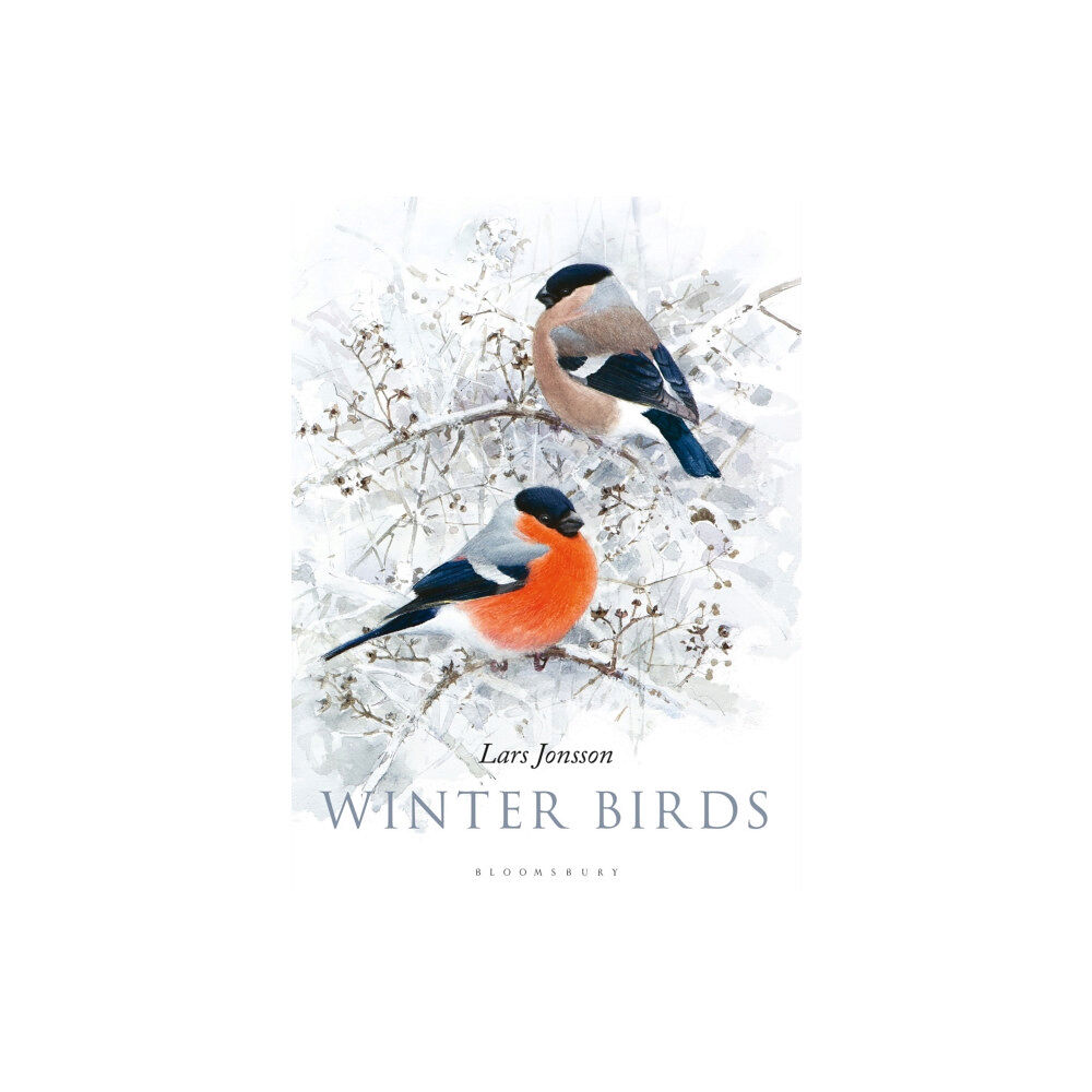 Bloomsbury Publishing PLC Winter Birds (inbunden, eng)