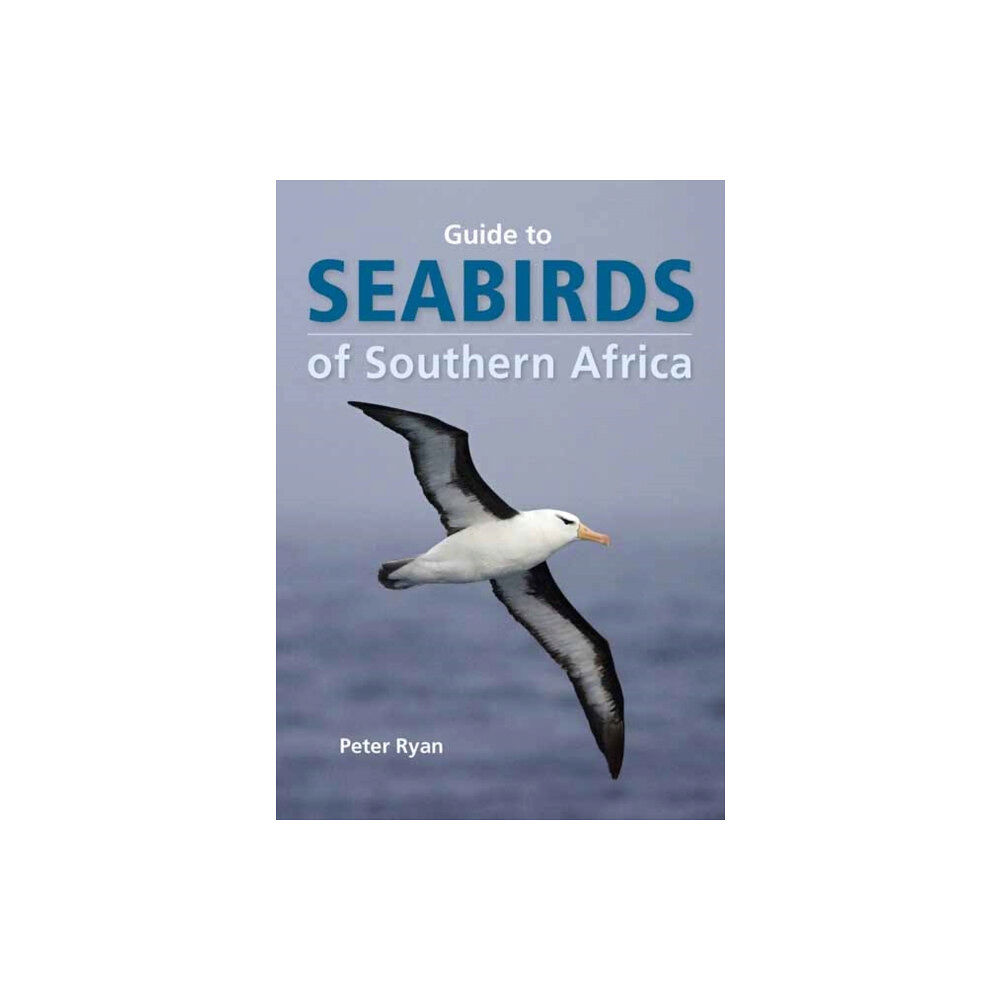 Penguin Random House South Africa Seabirds of Southern Africa (häftad, eng)