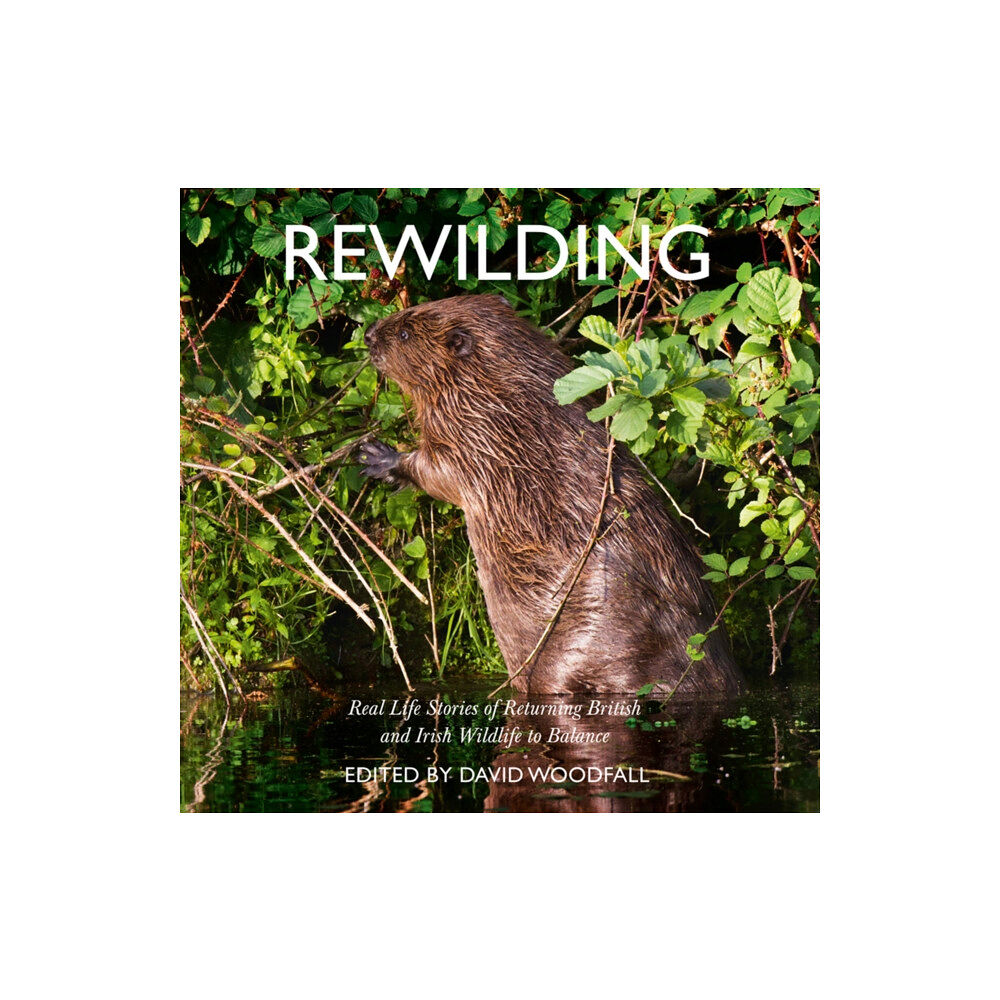 HarperCollins Publishers Rewilding (häftad, eng)