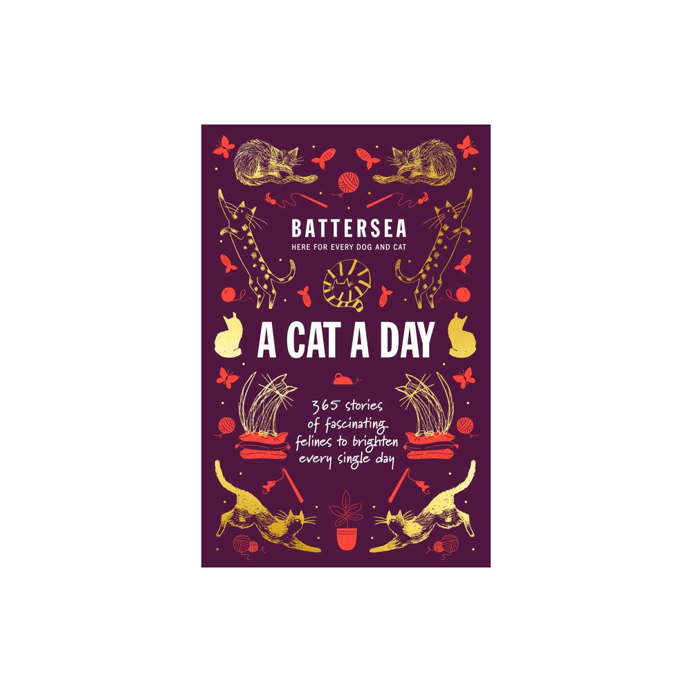 Headline Publishing Group Battersea Dogs and Cats Home - A Cat a Day (inbunden, eng)