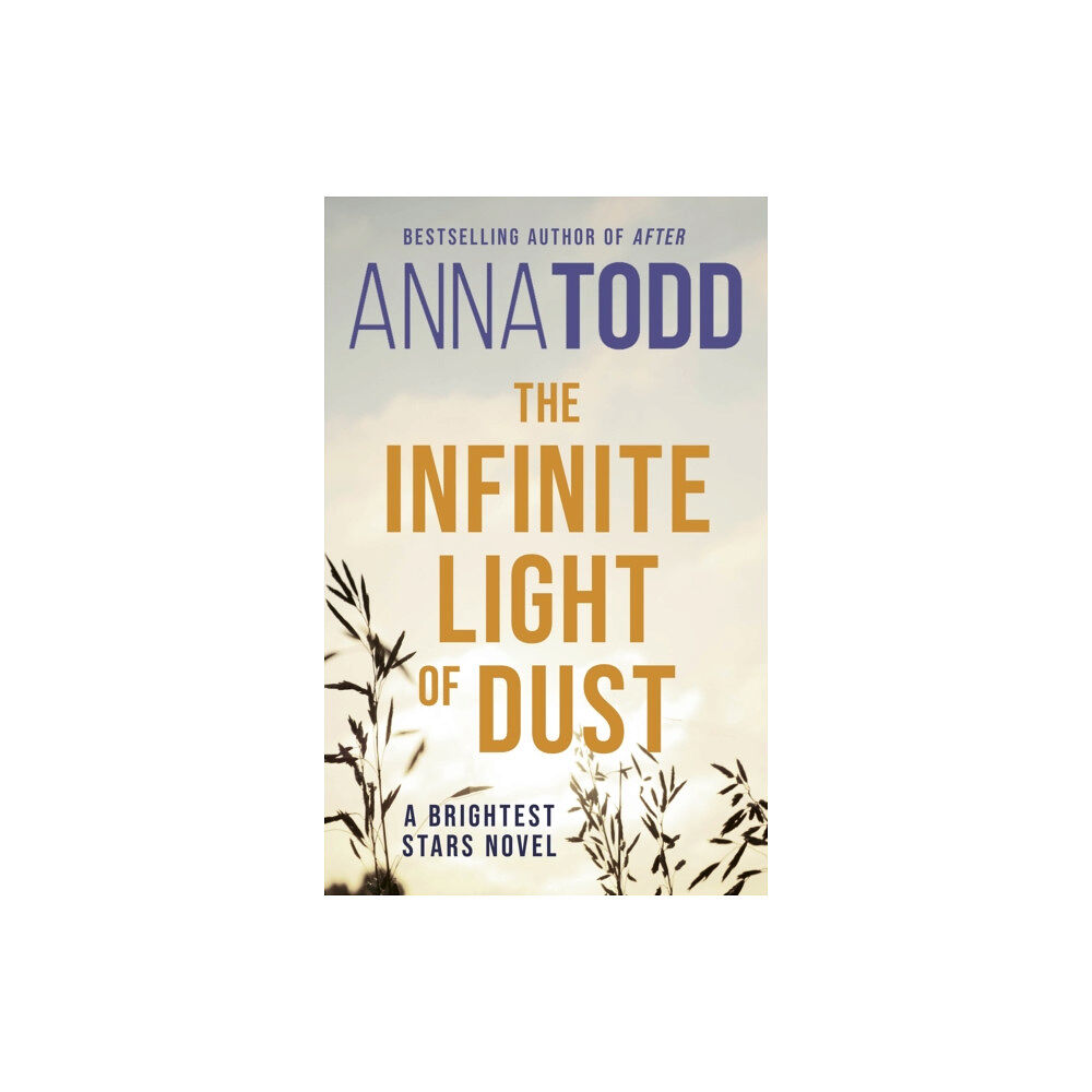 Little, Brown Book Group The Infinite Light of Dust (häftad, eng)