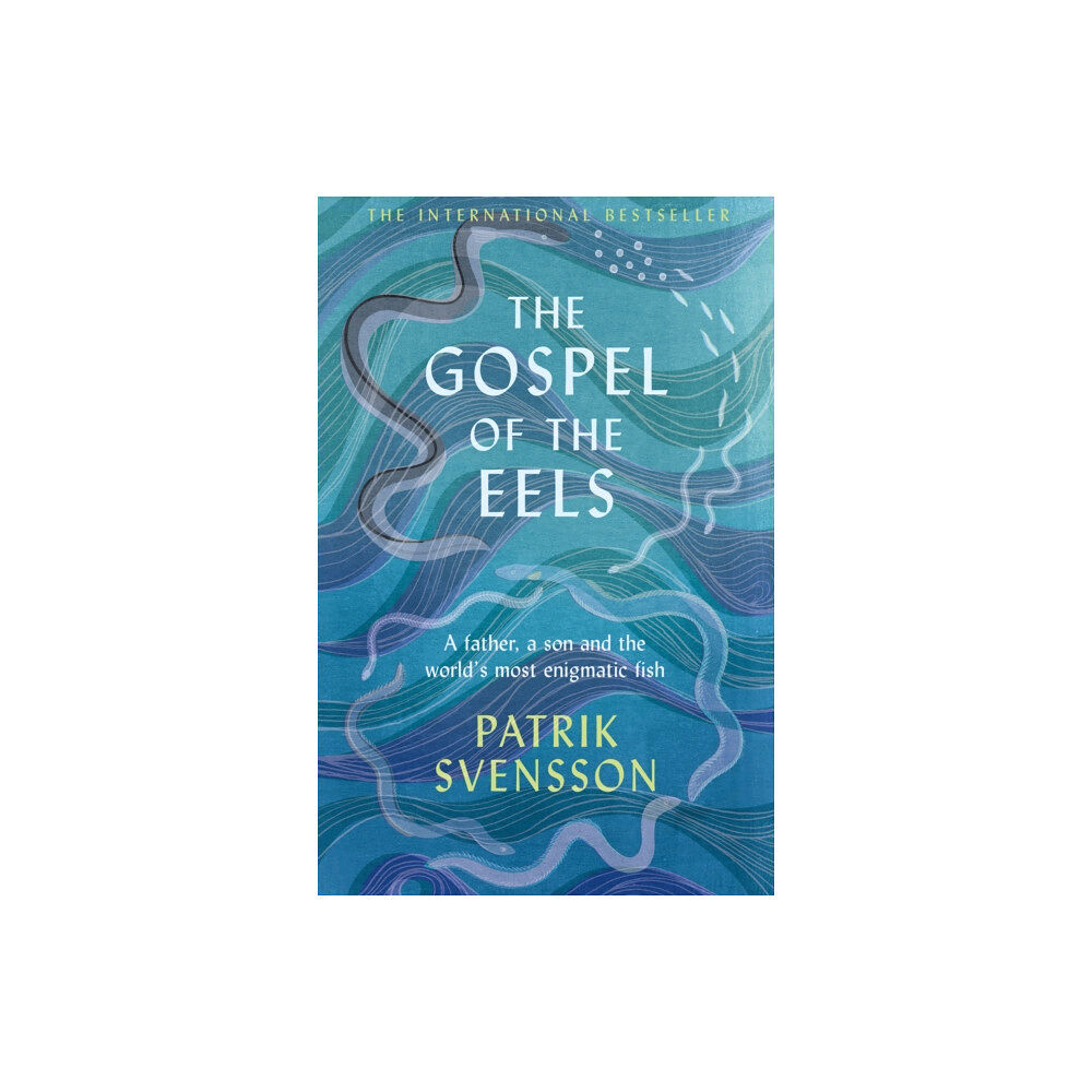 Pan Macmillan The Gospel of the Eels (häftad, eng)