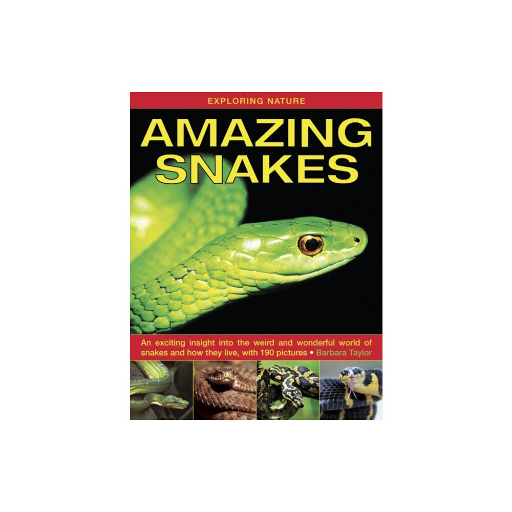 Anness publishing Exploring Nature: Amazing Snakes (inbunden, eng)