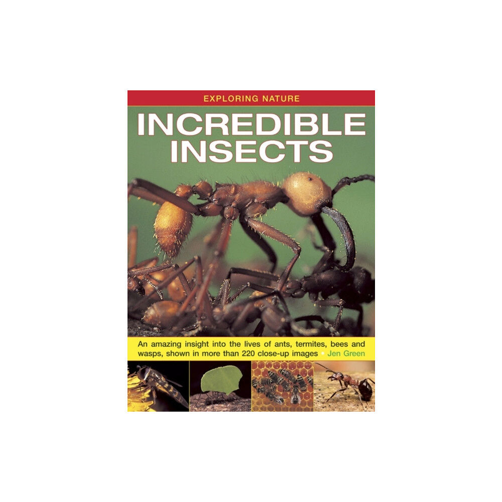 Anness publishing Exploring Nature: Incredible Insects (inbunden, eng)