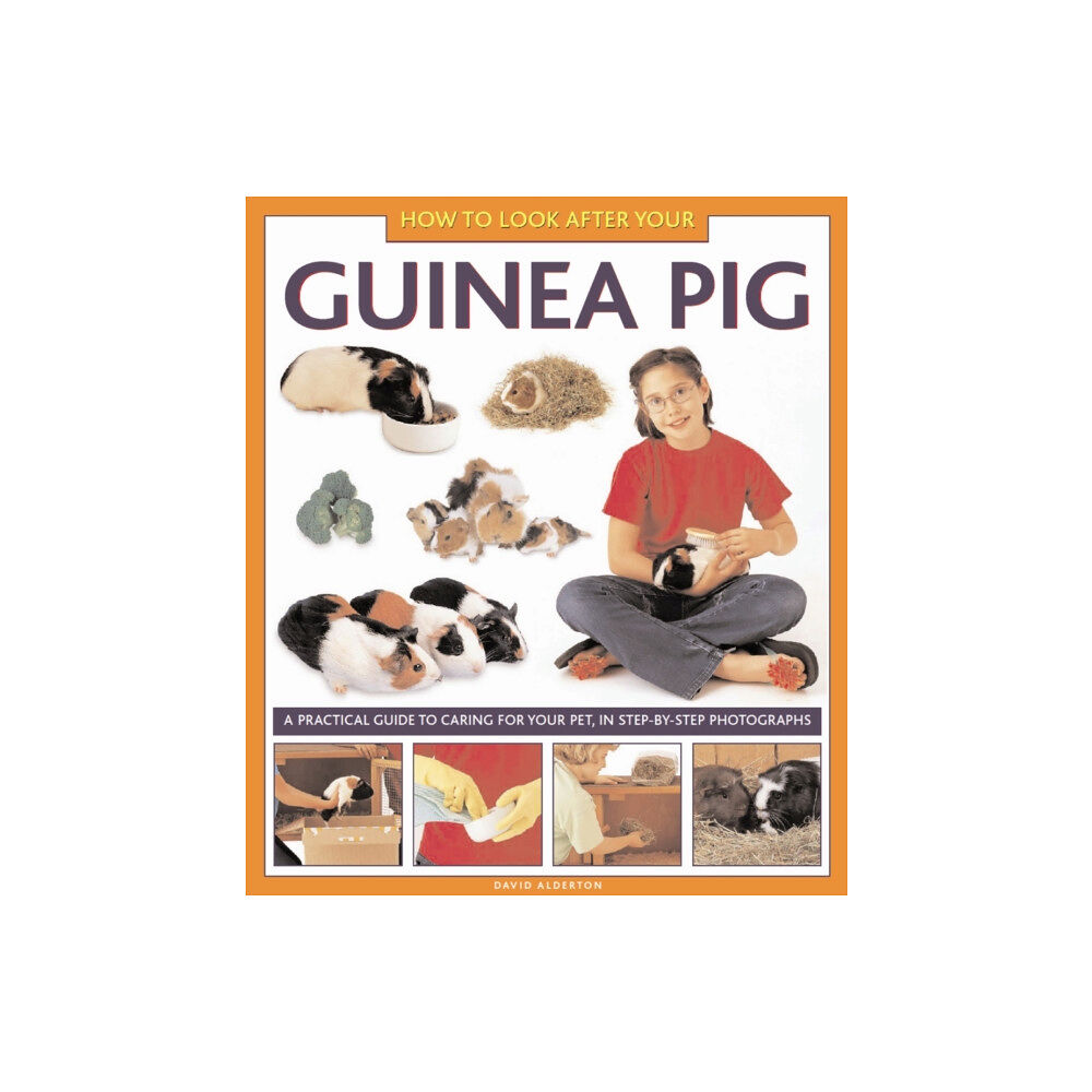 Anness publishing How to Look After Your Guinea Pig (inbunden, eng)