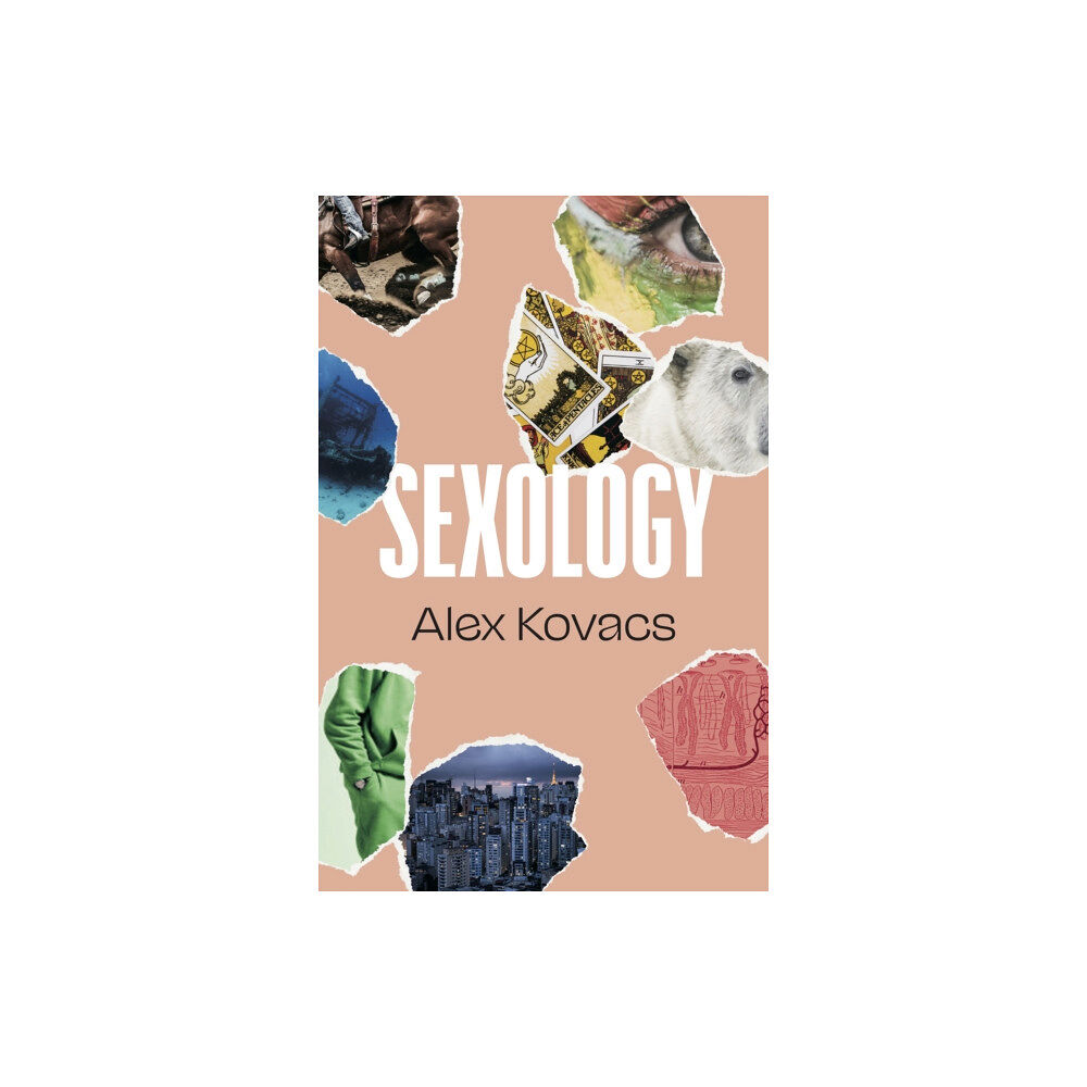 Dalkey Archive Press Sexology (häftad, eng)