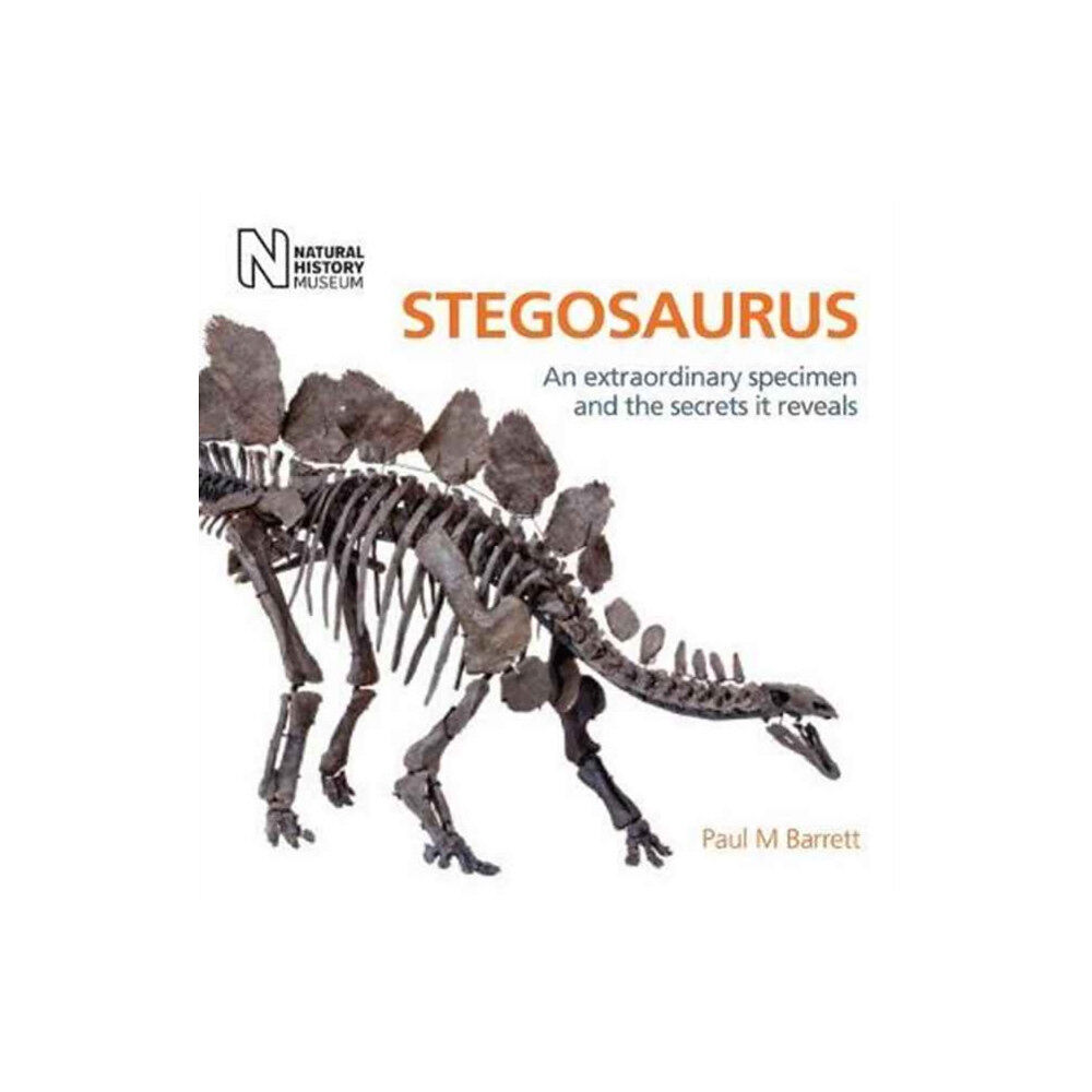 The Natural History Museum Stegosaurus (inbunden, eng)