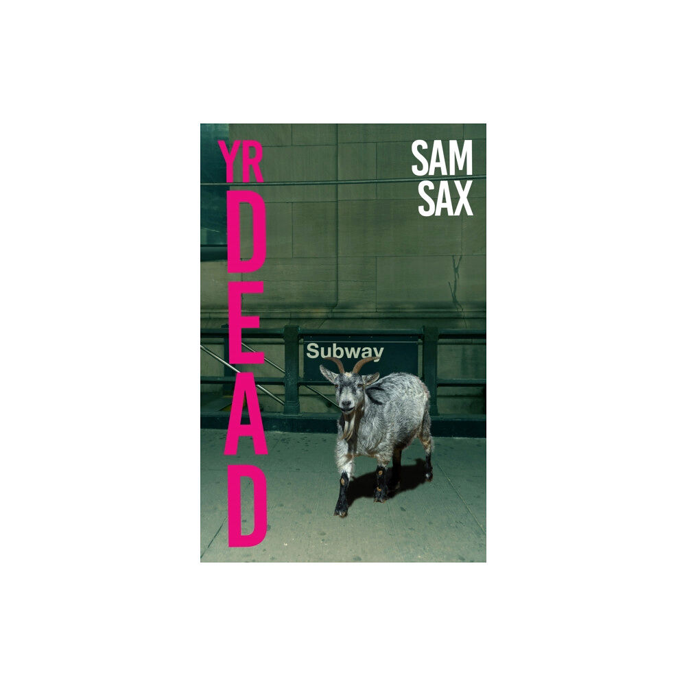 Daunt Books Yr Dead (häftad, eng)