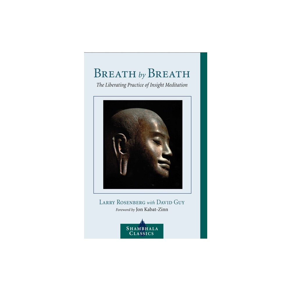 Shambhala Publications Inc Breath by Breath (häftad, eng)