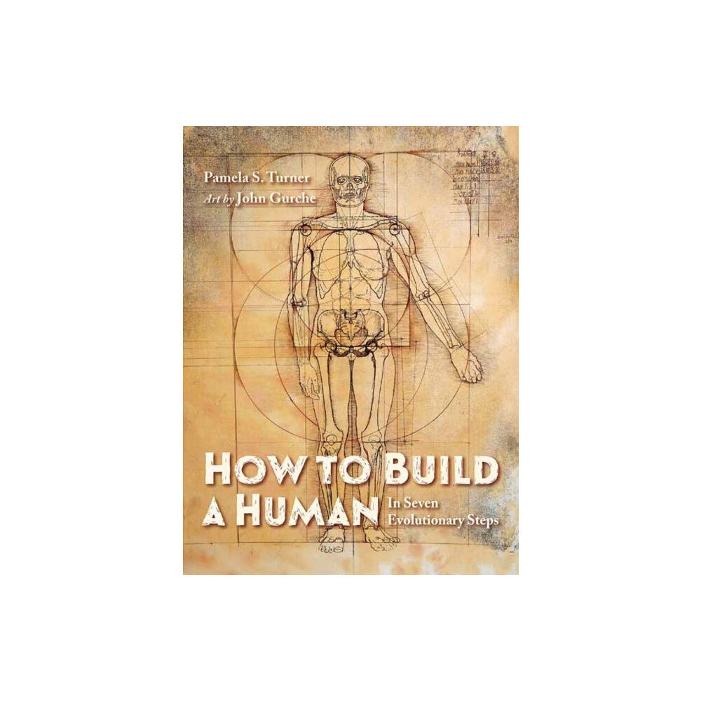 Charlesbridge Publishing,U.S. How to Build a Human (inbunden, eng)