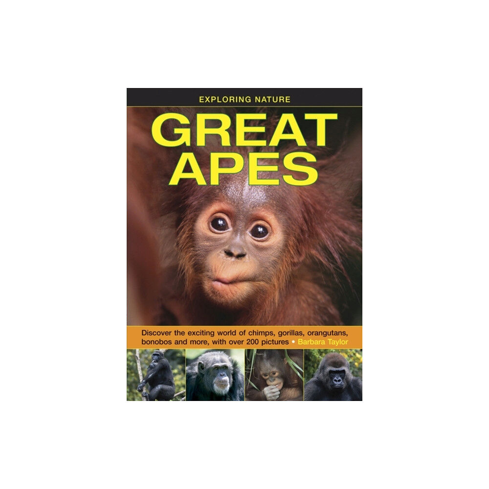 Anness publishing Exploring Nature: Great Apes (inbunden, eng)