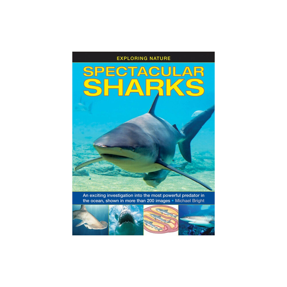 Anness publishing Exploring Nature: Spectacular Sharks (inbunden, eng)