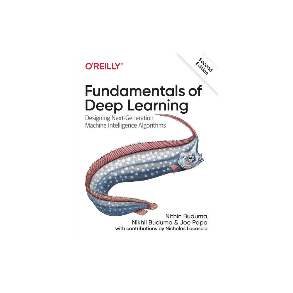 O'Reilly Media Fundamentals of Deep Learning (häftad, eng)