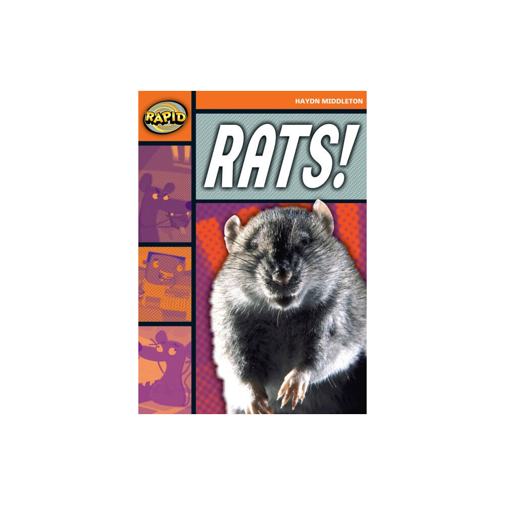 Pearson Education Limited Rapid Reading: Rats! (Stage 4, Level 4B) (häftad, eng)