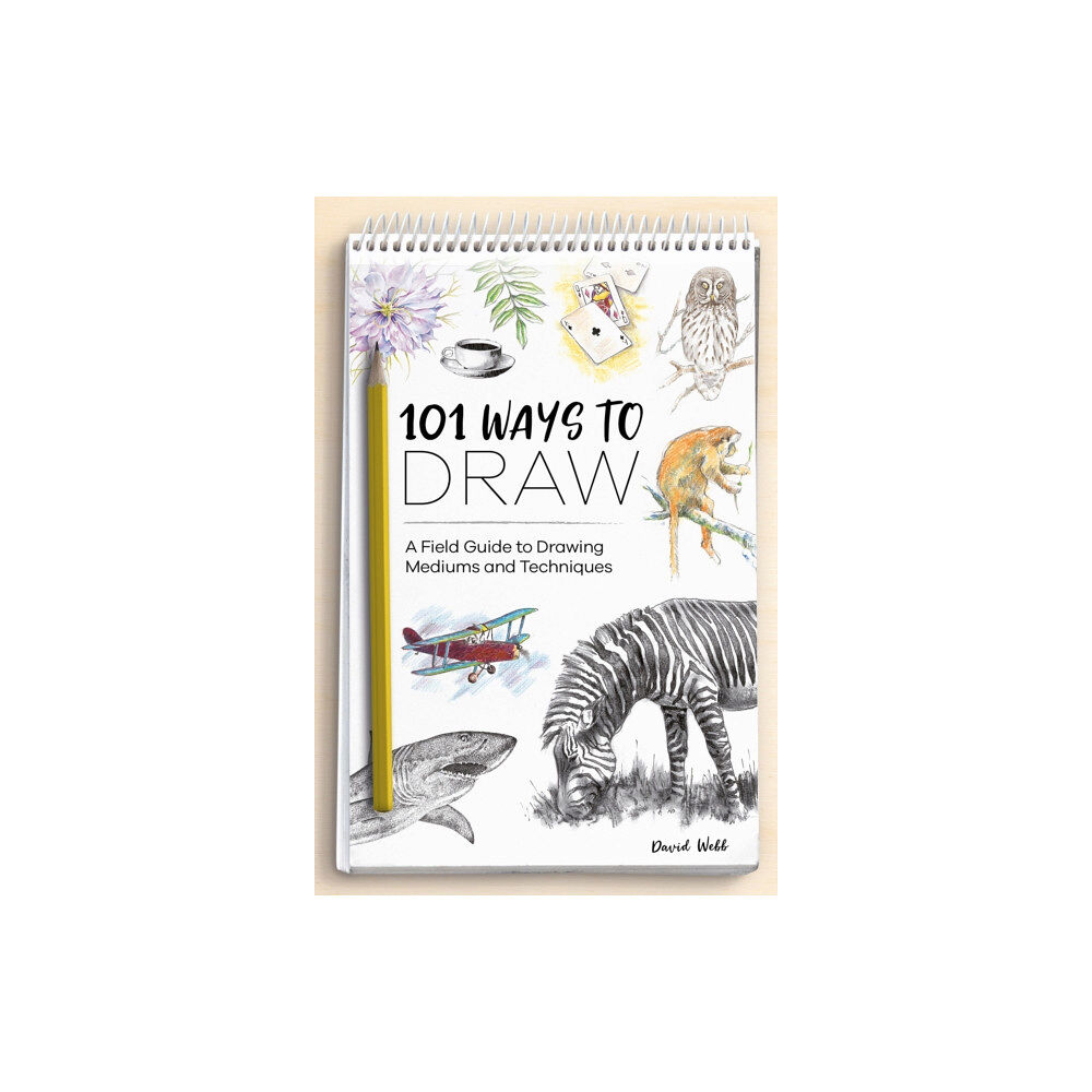 David & Charles 101 Ways to Draw (häftad, eng)