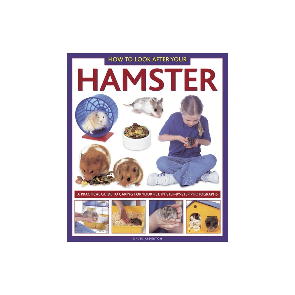 Anness publishing How to Look After Your Hamster (inbunden, eng)