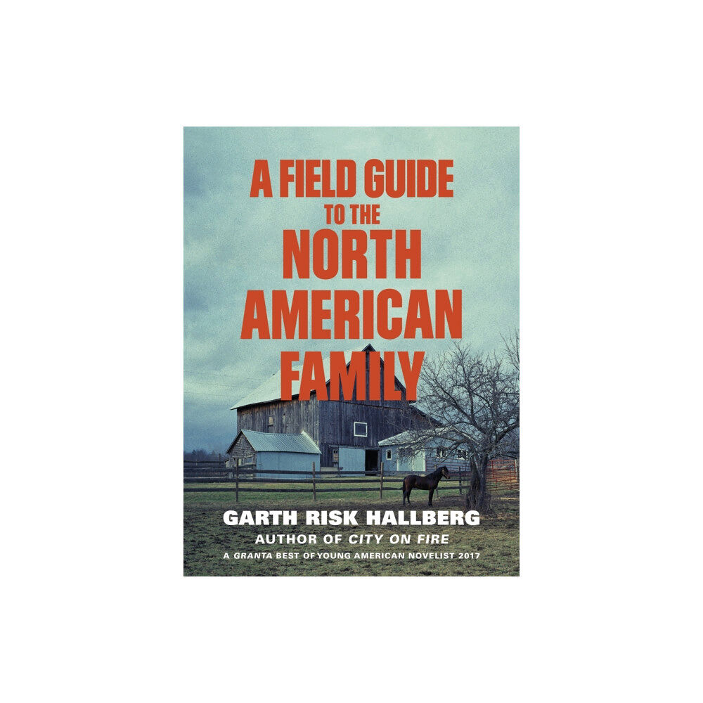 Vintage Publishing A Field Guide to the North American Family (häftad, eng)